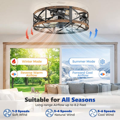 Flush Mount Caged Ceiling Fan