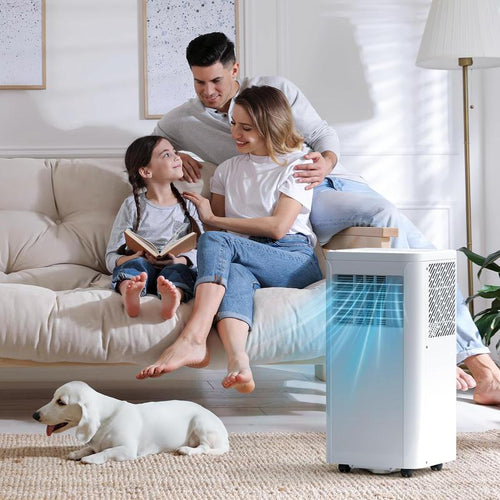 ArcticBreeze Portable AC